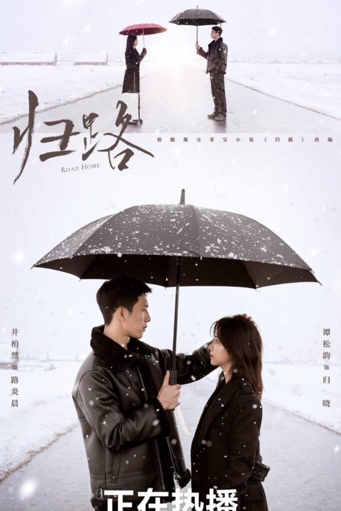 Road Home Romance Review Chinese Drama Poster