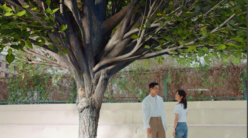Scene from modern Chinese drama Road Home Episode 29 recap and review of a couple under a tree