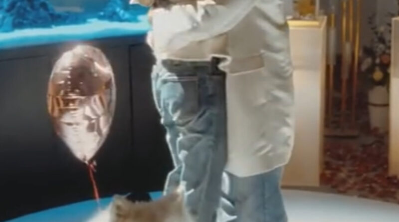 Scene from modern Chinese drama The Early Spring Episode 24 recap and review of a couple hugging with a dog next to them