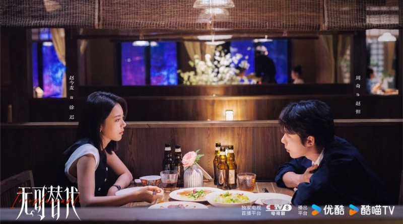 Scene from modern Chinese drama Irreplaceable (2026) Episode 11 Recap and review of a couple having dinner together