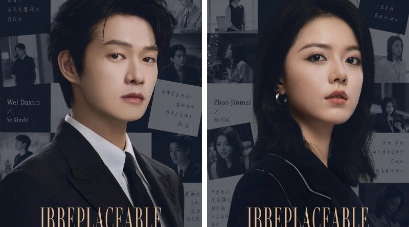 Irreplaceable Review 2026 Chinese Drama Poster